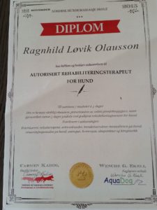 Laserbehandling av hund